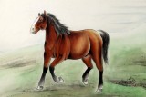 【已售】著名工筆畫(huà)家趙逸梅四尺馬到成功駿馬圖
