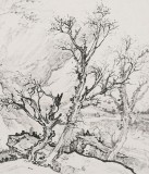 名家孔祥前寫意山水畫《大石成高磊 老木橫交柯》（詢價(jià)）