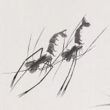 何華賢 三尺《戲水圖》 潁淮書畫名家