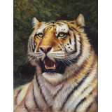 朝鮮名家油畫 楊忠革《王者雄風(fēng)》