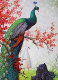 朝鮮名家油畫(huà) 李雪《孔雀》