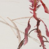 【已售】黃云鴻 三尺斗方《鴻運當頭》