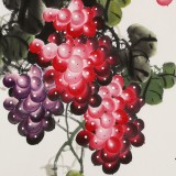 黃藝三尺風(fēng)水吉利國畫《碩果累累》