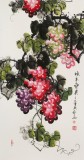 黃藝三尺風(fēng)水吉利國畫《碩果累累》
