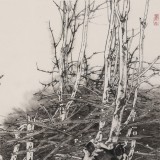 【已售】陳薪名《筑夢》代表作精品 第六屆全國花鳥畫展金獎獲得者 已裱軸 出版物原作