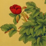 【已售】凌雪 四尺斗方《花開富貴》 北京美協(xié)會員