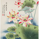 凌雪 四尺斗方《荷香萬里》 北京美協(xié)會員