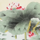 【已售】凌雪 四尺斗方《和和美美》 北京美協(xié)會(huì)員