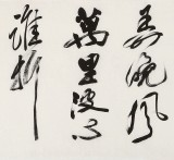 吳身元 四尺對(duì)開《浪花》 原中國(guó)硬筆書法家協(xié)會(huì)副主席