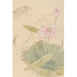 張瑰麗 四尺三開工筆《荷香》 湖南省美術(shù)家協(xié)會會員